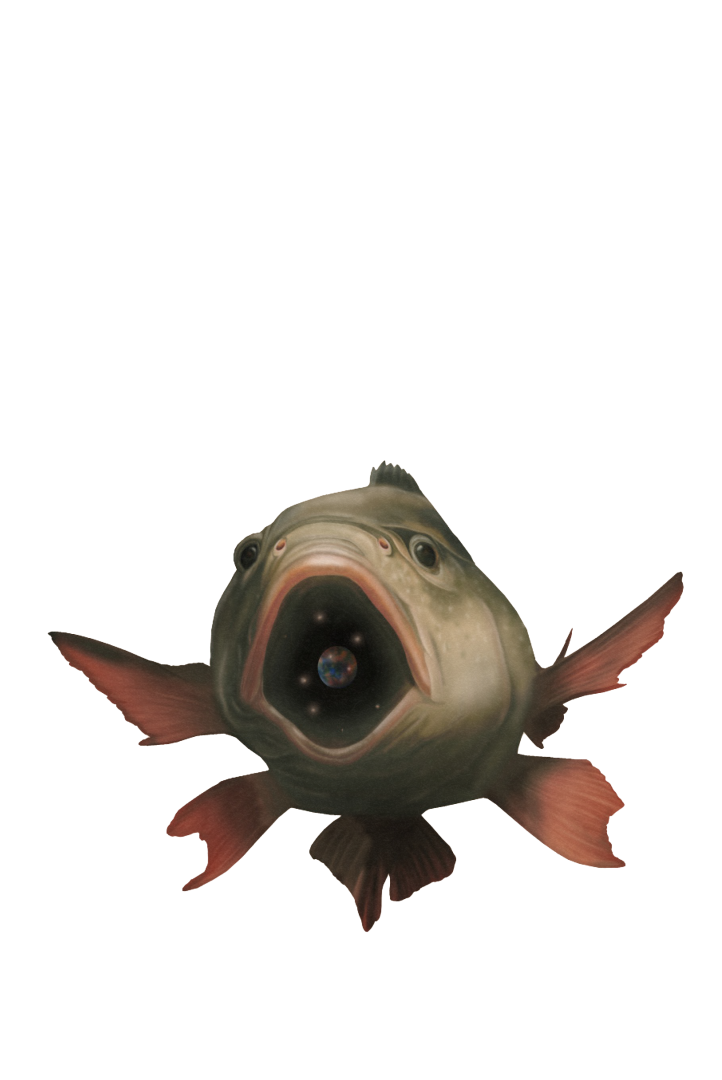 POisson affiche