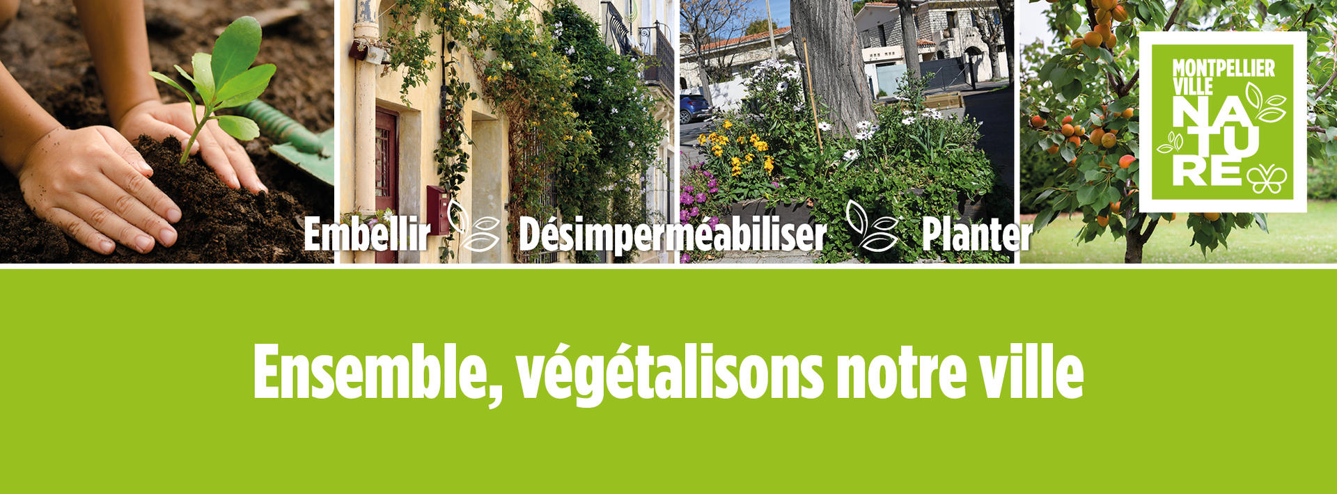 Bannière du dispositif Bons de végétalisation