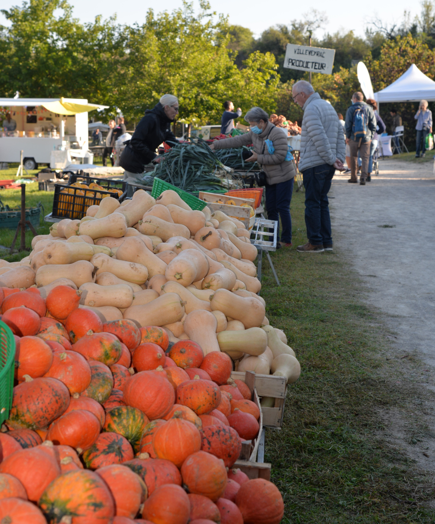 stand de courges