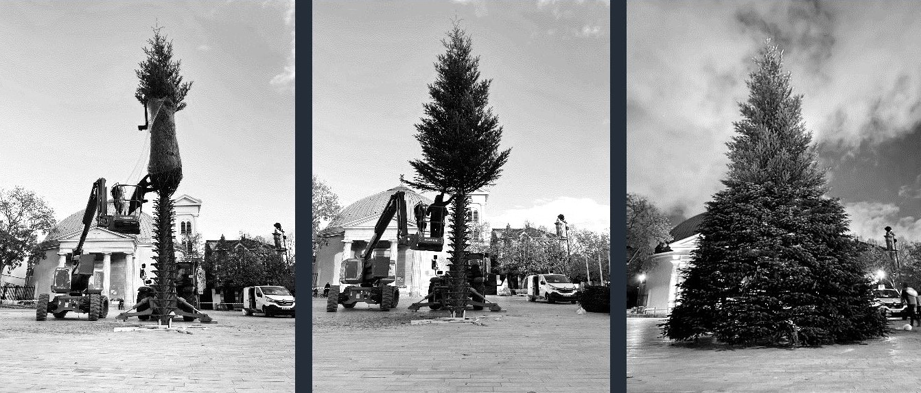 Montage en trois temps de la structure métallique et de branches du sapin