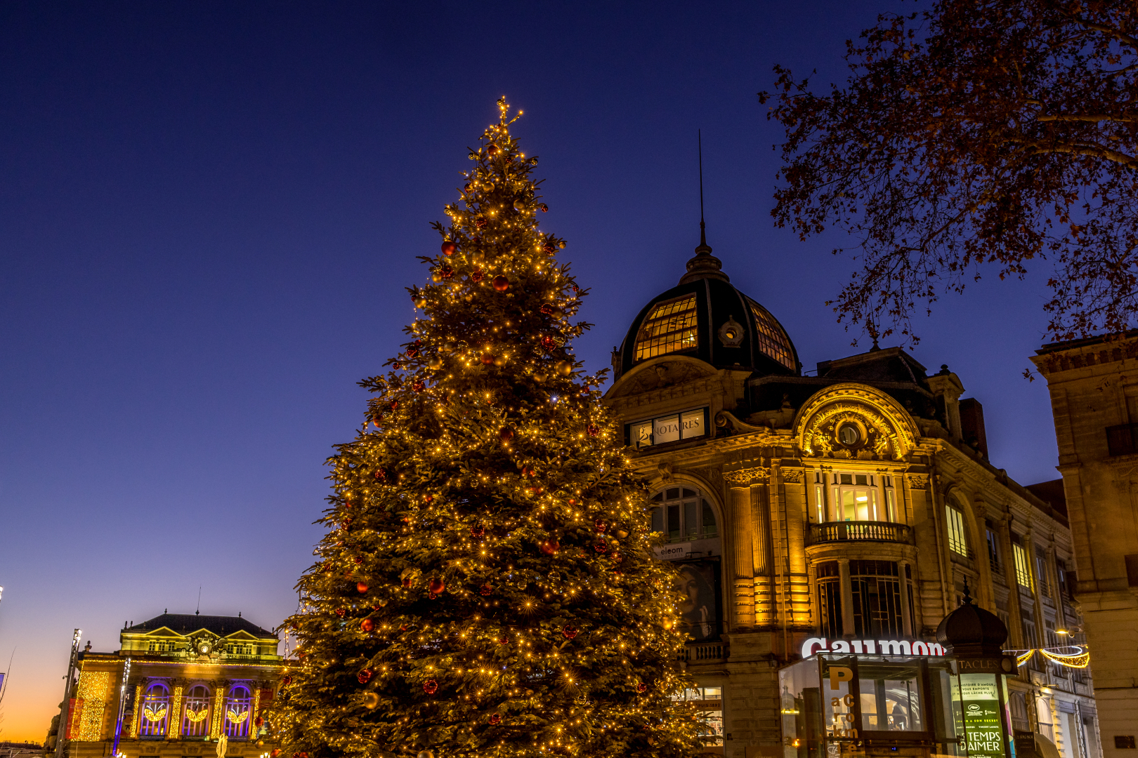 Sapin de Noël sur la place de la Comédie 