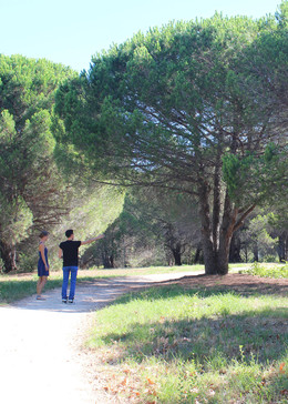 Parcs et jardins