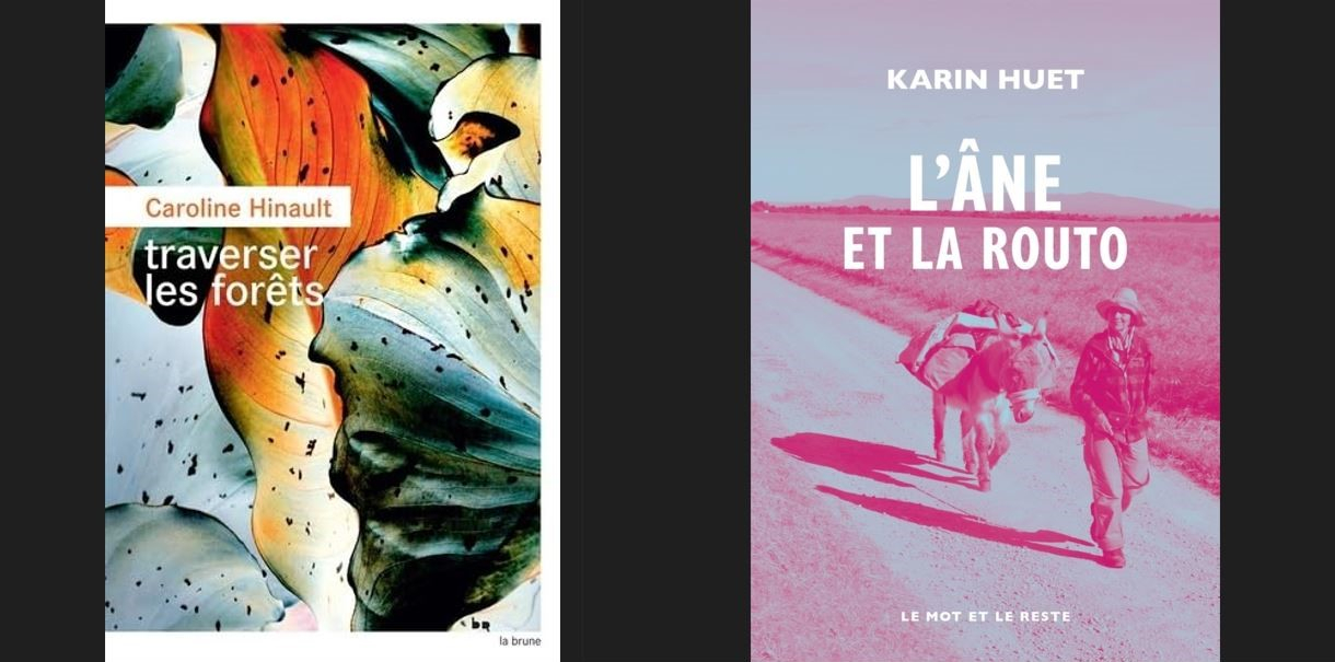 Couvertures de romans coups de coeur