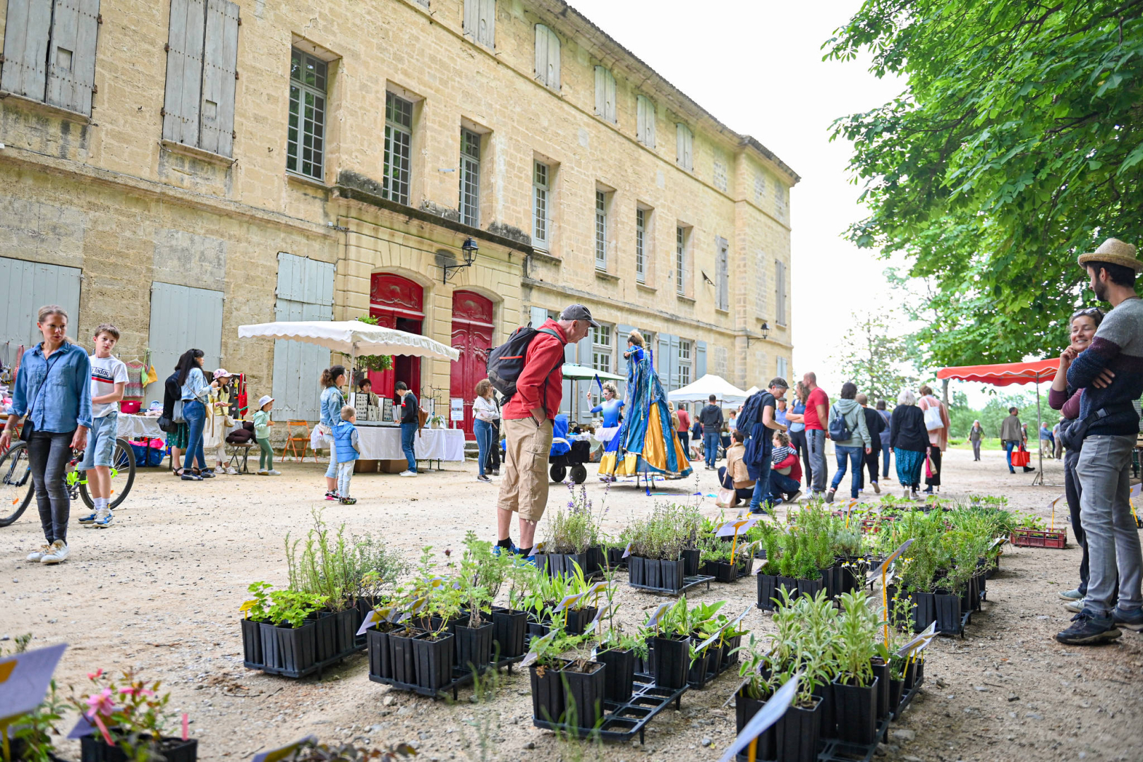 le marché au plants