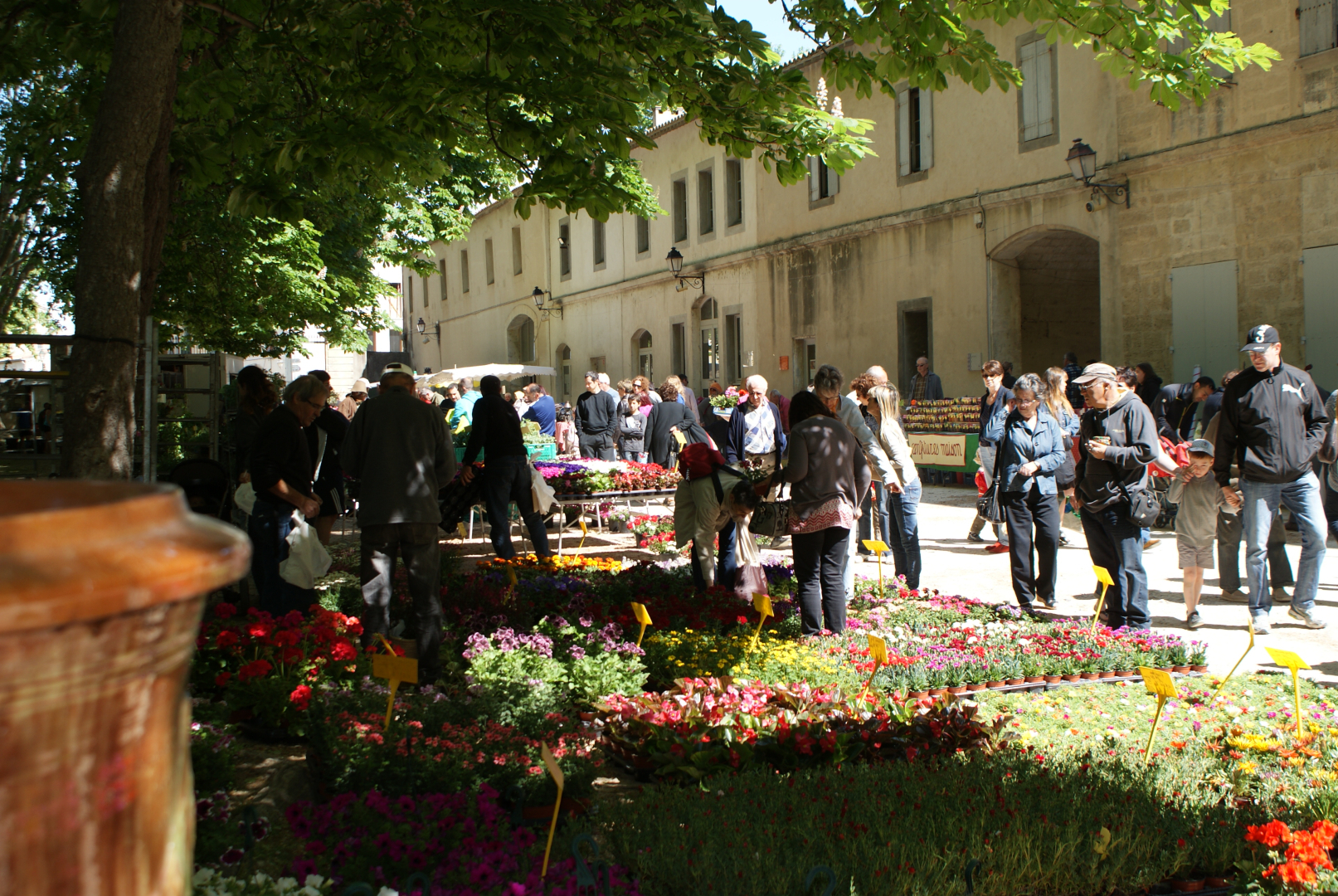 Journée des jardins