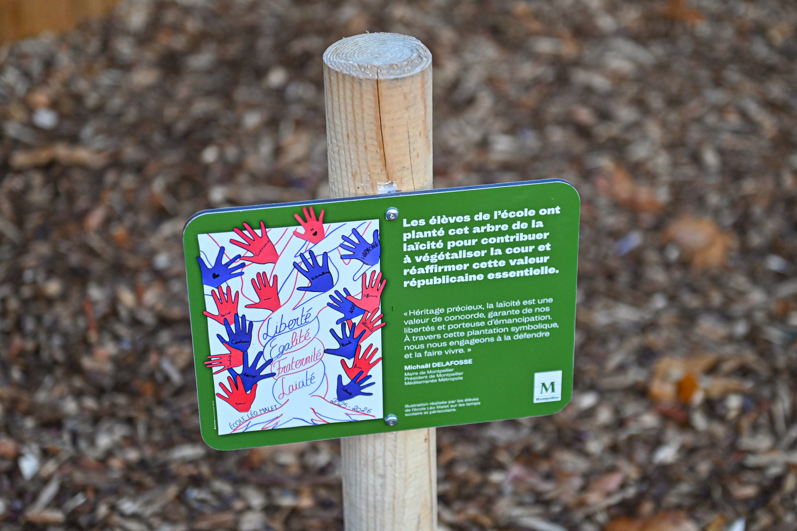 Panneau arbre de la laïcité et revêtement copeaux de bois 