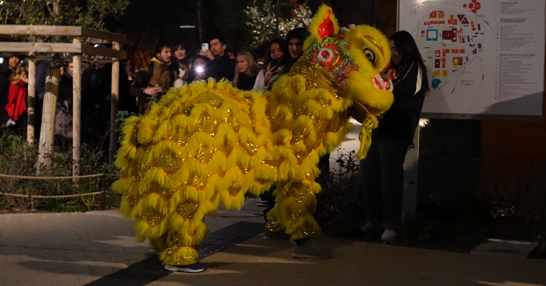 Nouvel an chinois