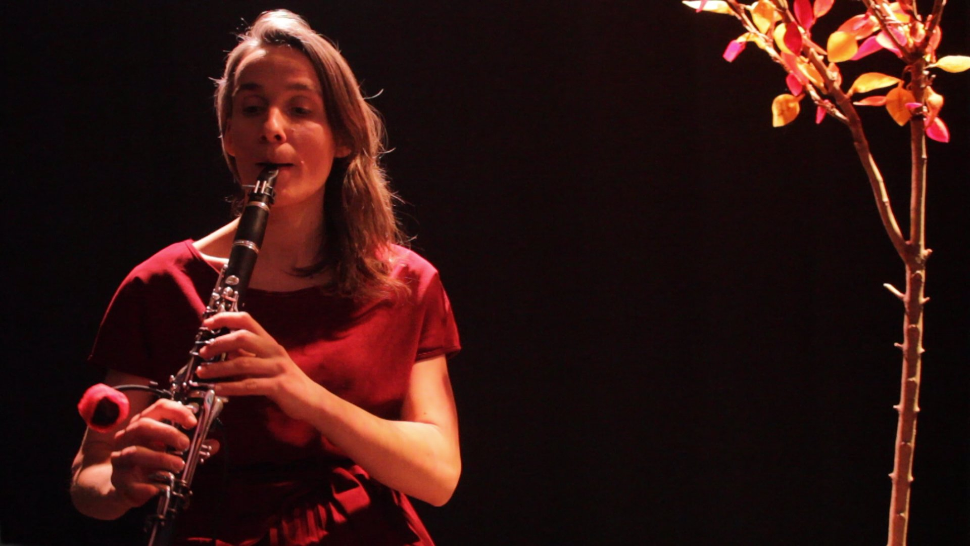 la clarinettiste 