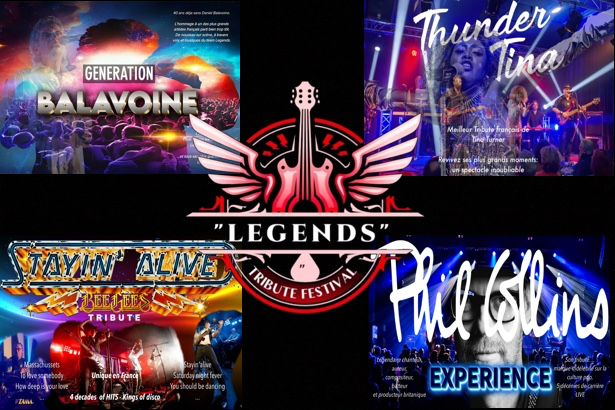 montage d'images sur les concerts balavoine, bee gees, tina turner et phil coolins