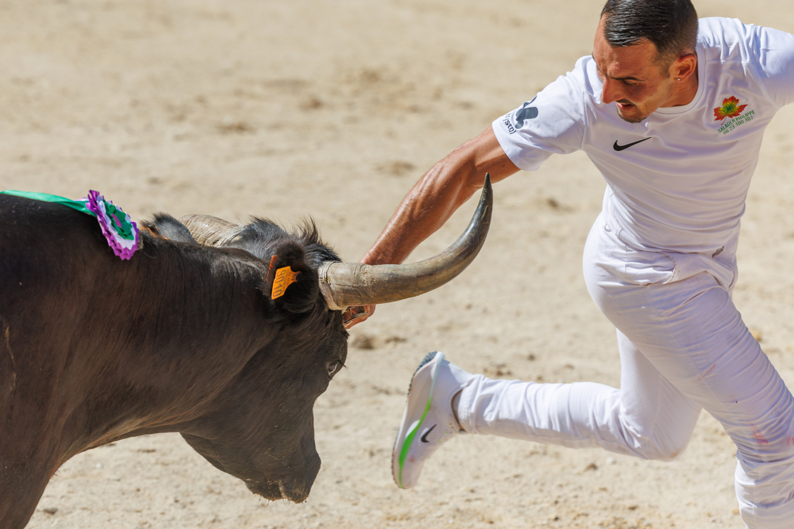 Raseteur dans l'arène