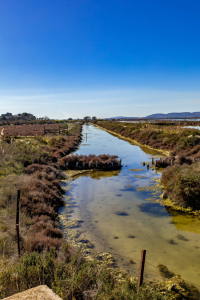 les salines