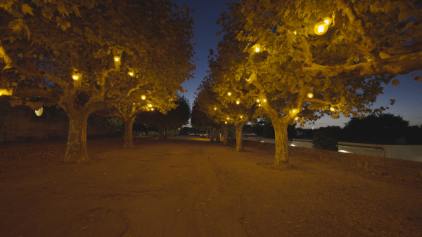 Art of Darkness Montpellier 