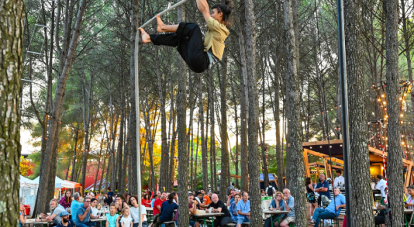 Spectacle circassien O'millesimes