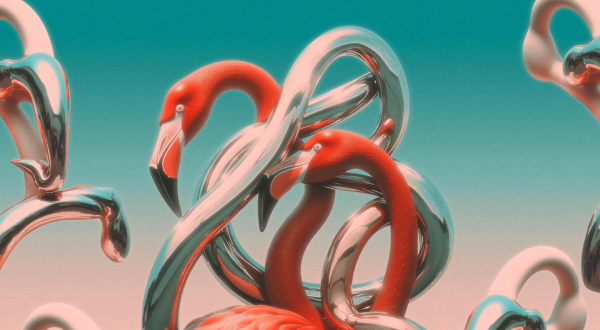 les flamants roses de l'affiche de family piknik